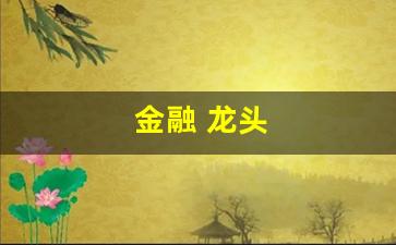 金融 龙头(金融龙头企业)_https://www.dcjwmf.com_郑商所_第1张